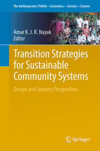 Vorderes Coverbild Transition Strategies for Sustainable Community Systems