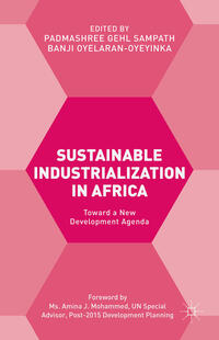 Vorderes Coverbild Sustainable Industrialization in Africa