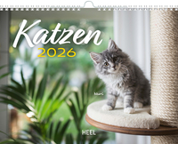 Vorderes Coverbild Kalender Katzen 2026 Eintragkalender