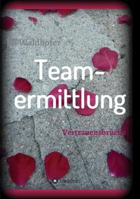 Vorderes Coverbild Teamermittlung