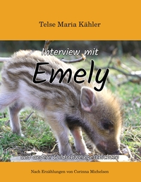 Vorderes Coverbild Interview mit Emely