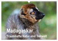 Vorderes Coverbild Madagaskar. Traumhafte Natur und Tierwelt (Wandkalender 2025 DIN A3 quer), CALVENDO Monatskalender