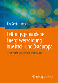 Vorderes Coverbild Leitungsgebundene Energieversorgung in Mittel- und Osteuropa