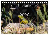 Vorderes Coverbild Reptilienkalender 2025 (Tischkalender 2025 DIN A5 quer), CALVENDO Monatskalender