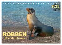 Vorderes Coverbild Robben - überall zuhause (Tischkalender 2025 DIN A5 quer), CALVENDO Monatskalender
