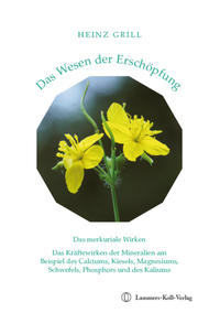 Vorderes Coverbild Das Wesen der Erschöpfung