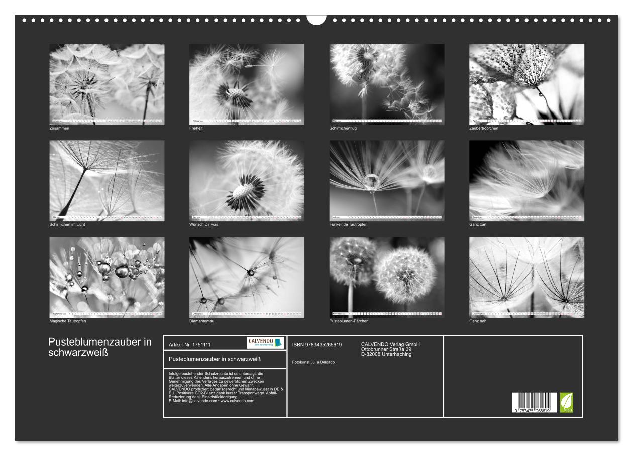 Beispielinhalt (Bild) Pusteblumenzauber in schwarzweiß (Wandkalender 2025 DIN A2 quer), CALVENDO Monatskalender