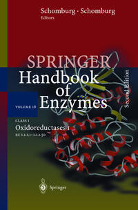 Vorderes Coverbild Class 1 Oxidoreductases I