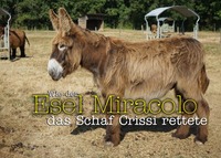 Vorderes Coverbild Wie der Esel Miracolo das Schaf Crissi rettete