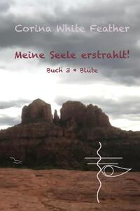 Vorderes Coverbild Meine Seele erstrahlt!