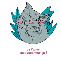 Vorderes Coverbild Je t'aime cooooooomme ça ! - Illustré par Anne Bory