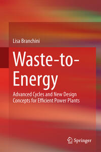 Vorderes Coverbild Waste-to-Energy