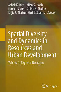 Vorderes Coverbild Spatial Diversity and Dynamics in Resources and Urban Development