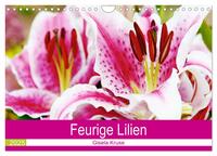 Vorderes Coverbild Feurige Lilien (Wandkalender 2025 DIN A4 quer), CALVENDO Monatskalender