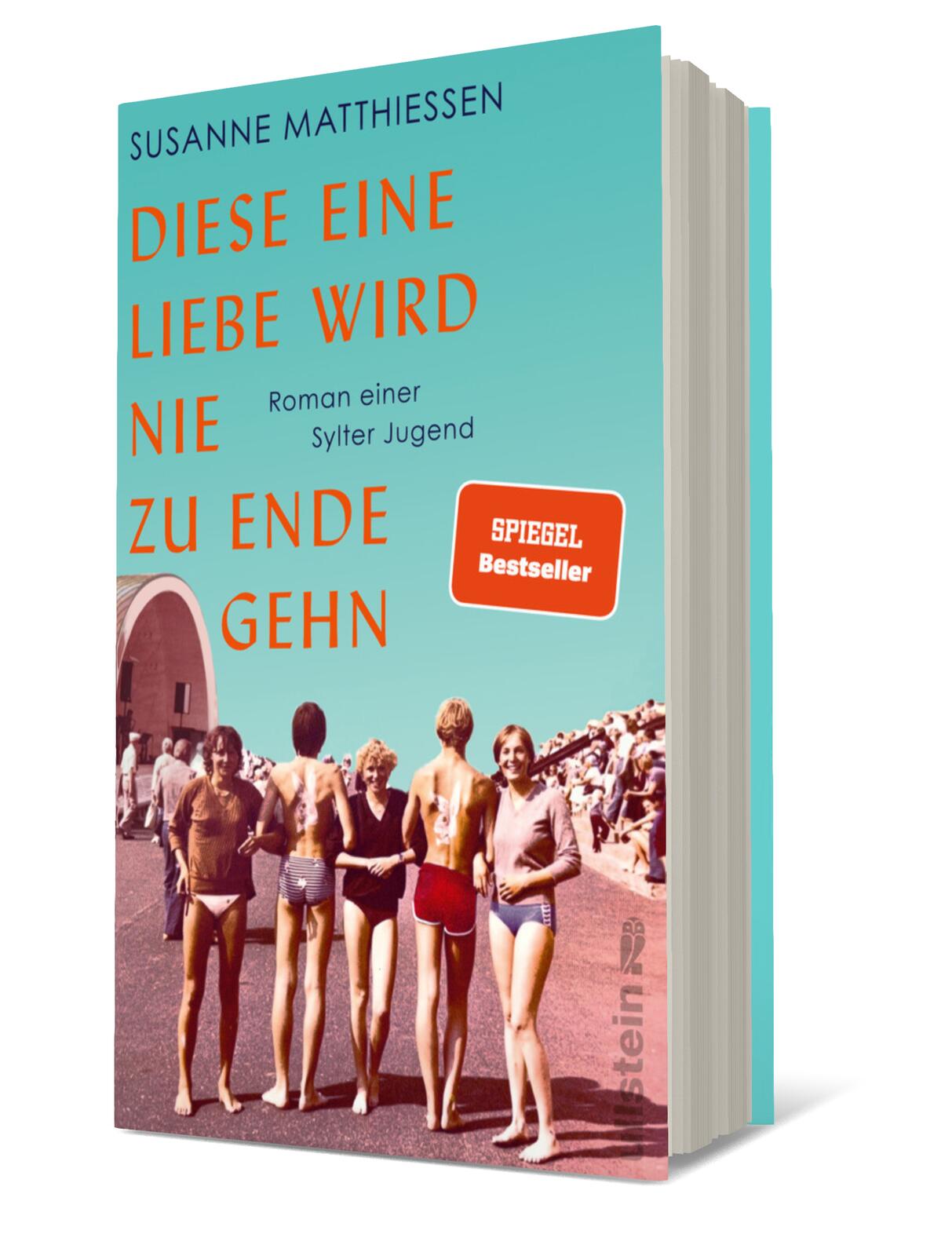 Anderes Coverbild Diese eine Liebe wird nie zu Ende gehn