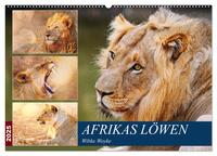 Vorderes Coverbild Afrikas Löwen 2025 (Wandkalender 2025 DIN A2 quer), CALVENDO Monatskalender