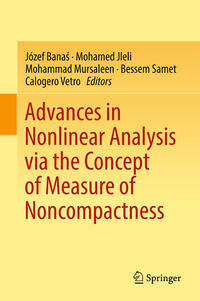 Vorderes Coverbild Advances in Nonlinear Analysis via the Concept of Measure of Noncompactness