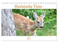 Vorderes Coverbild Heimische Tiere - Rehe (Tischkalender 2025 DIN A5 quer), CALVENDO Monatskalender