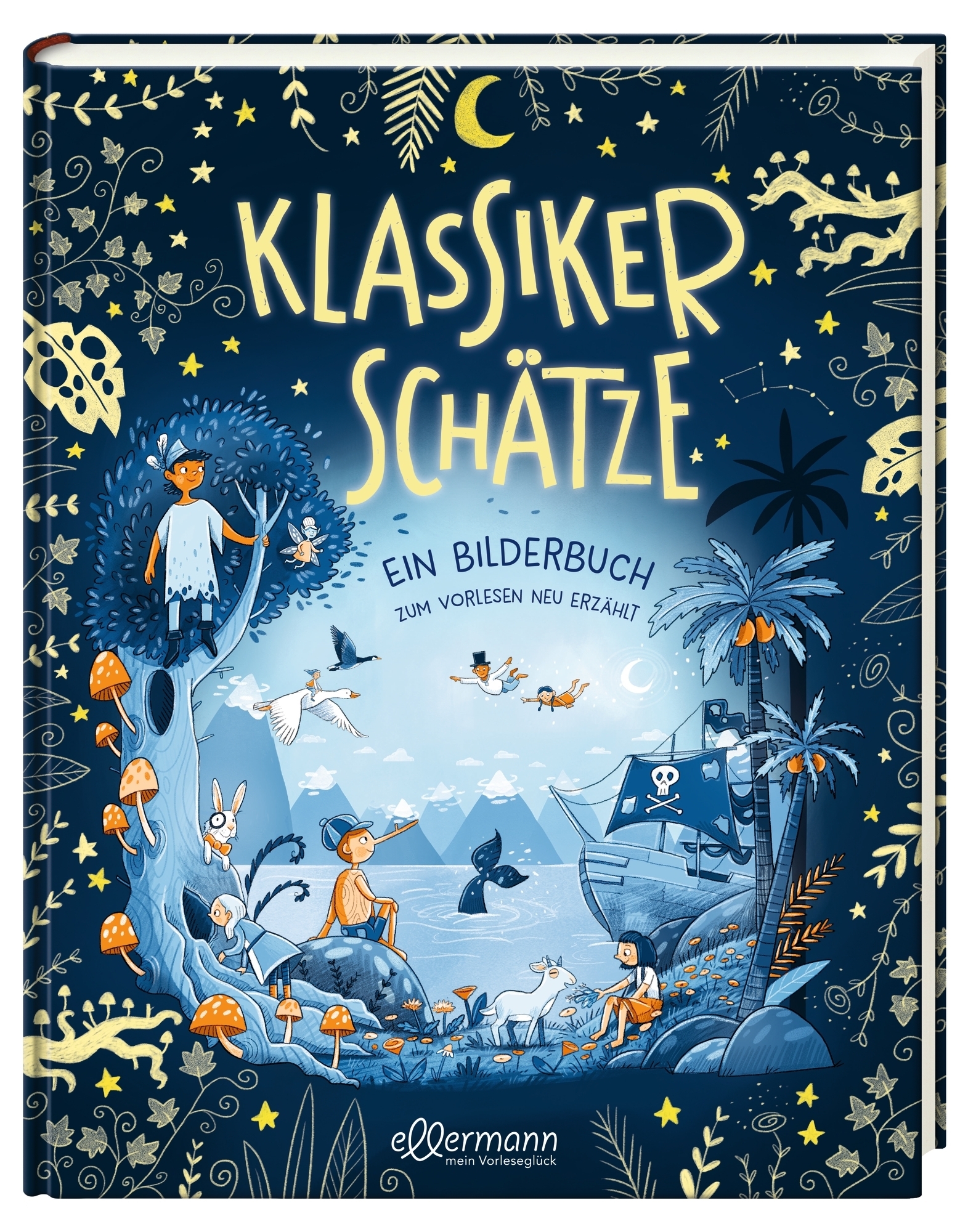 Anderes Coverbild Klassikerschätze