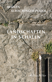 Vorderes Coverbild Landschaften in Schalen