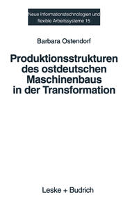 Vorderes Coverbild Produktionsstrukturen des ostdeutschen Maschinenbaus in der Transformation