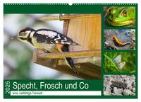 Vorderes Coverbild Specht, Frosch und Co - eine vielfältige Tierwelt (Wandkalender 2025 DIN A2 quer), CALVENDO Monatskalender