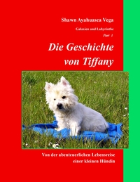 Vorderes Coverbild Die Geschichte von Tiffany