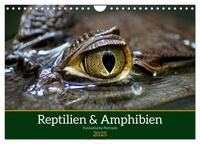 Vorderes Coverbild Reptilien & Amphibien Portraits (Wandkalender 2025 DIN A4 quer), CALVENDO Monatskalender