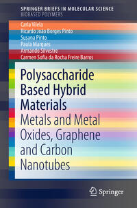 Vorderes Coverbild Polysaccharide Based Hybrid Materials