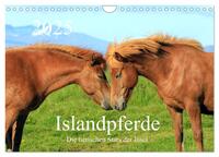 Vorderes Coverbild Islandpferde - Die tierischen Stars der Insel (Wandkalender 2025 DIN A4 quer), CALVENDO Monatskalender