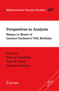 Vorderes Coverbild Perspectives in Analysis