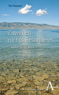 Vorderes Coverbild Zuweilen nichts Besonderes