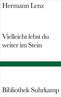 Vorderes Coverbild Vielleicht lebst du weiter im Stein
