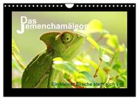 Vorderes Coverbild Das Jemenchamäleon (Wandkalender 2025 DIN A4 quer), CALVENDO Monatskalender