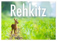 Vorderes Coverbild Rehkitz - Flinke kleine Bambis. (Wandkalender 2025 DIN A3 quer), CALVENDO Monatskalender