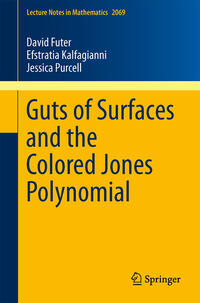 Vorderes Coverbild Guts of Surfaces and the Colored Jones Polynomial