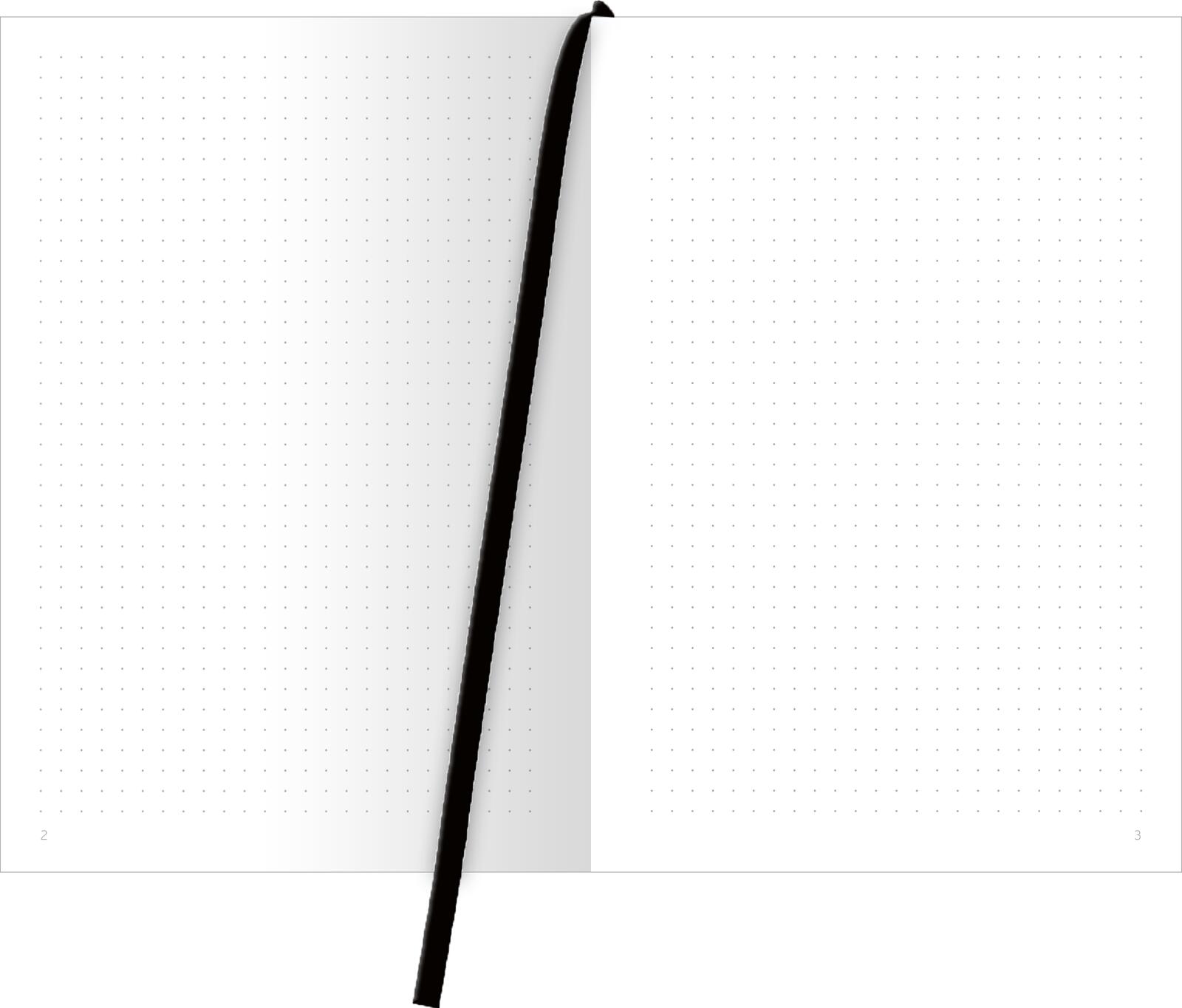 Beispielinhalt (Bild) Böse Sprüche Notizbuch A5: Please dont't interrupt me while I'm ignoring you