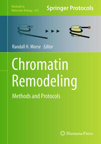 Vorderes Coverbild Chromatin Remodeling
