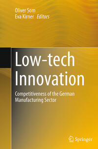 Vorderes Coverbild Low-tech Innovation