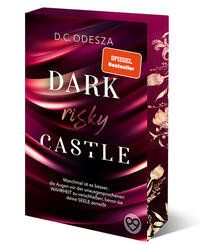 Vorderes Coverbild DARK risky CASTLE