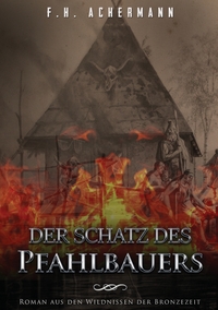 Vorderes Coverbild Der Schatz des Pfahlbauers