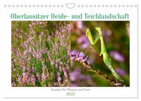 Vorderes Coverbild Oberlausitzer Heide- und Teichlandschaft (Wandkalender 2025 DIN A4 quer), CALVENDO Monatskalender