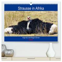 Vorderes Coverbild Strausse in Afrika (hochwertiger Premium Wandkalender 2025 DIN A2 quer), Kunstdruck in Hochglanz