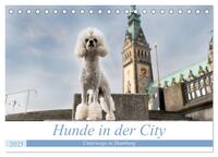 Vorderes Coverbild Hunde in der City - Unterwegs in Hamburg (Tischkalender 2025 DIN A5 quer), CALVENDO Monatskalender