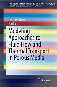 Vorderes Coverbild Modeling Approaches to Natural Convection in Porous Media