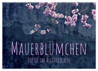 Vorderes Coverbild Mauerblümchen - Poesie im Alltäglichen (Wandkalender 2025 DIN A2 quer), CALVENDO Monatskalender
