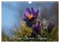 Vorderes Coverbild Wilde Blüten-Träume (Wandkalender 2025 DIN A4 quer), CALVENDO Monatskalender