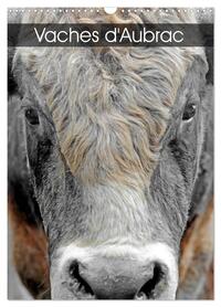 Vorderes Coverbild Vaches d'Aubrac (Calendrier mural 2026 DIN A3 horizontal), CALVENDO calendrier mensuel