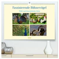 Vorderes Coverbild Faszinierende Hühnervögel (hochwertiger Premium Wandkalender 2026 DIN A2 quer), Kunstdruck in Hochglanz