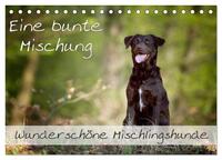 Vorderes Coverbild Eine bunte Mischung - wunderschöne Mischlingshunde / Geburtstagskalender (Tischkalender 2025 DIN A5 quer), CALVENDO Monatskalender